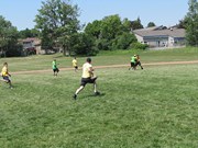 OTFL Gallery Image
